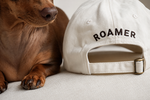 ROAMER 001. The Hat.